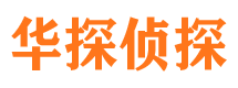 雁山市侦探调查公司